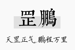 罡鹏名字的寓意及含义