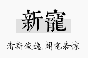 新宠名字的寓意及含义