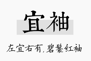 宜袖名字的寓意及含义