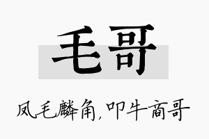 毛哥名字的寓意及含义