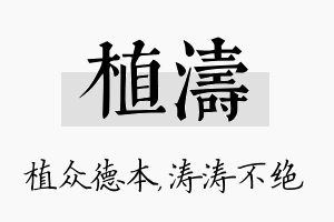 植涛名字的寓意及含义