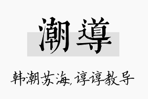 潮导名字的寓意及含义