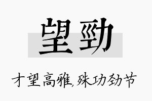 望劲名字的寓意及含义