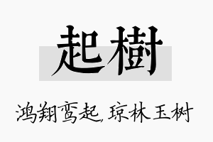 起树名字的寓意及含义