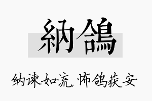 纳鸽名字的寓意及含义