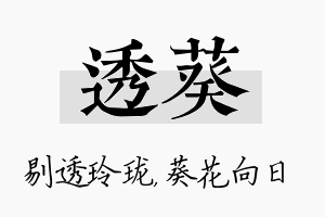 透葵名字的寓意及含义