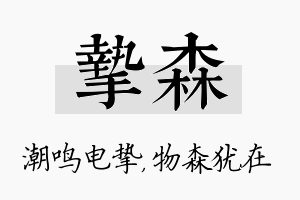 挚森名字的寓意及含义