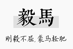 毅马名字的寓意及含义