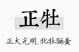 正牡名字的寓意及含义