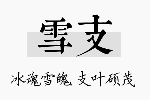 雪支名字的寓意及含义