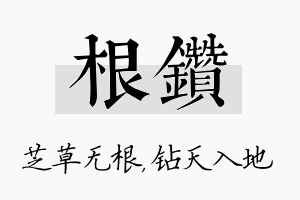 根钻名字的寓意及含义