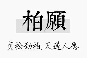 柏愿名字的寓意及含义