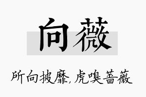 向薇名字的寓意及含义