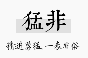 猛非名字的寓意及含义