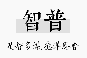 智普名字的寓意及含义