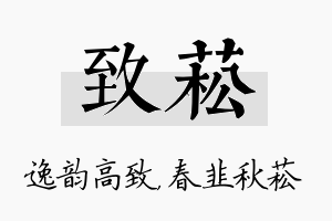 致菘名字的寓意及含义