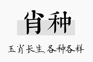 肖种名字的寓意及含义