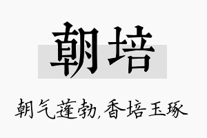 朝培名字的寓意及含义