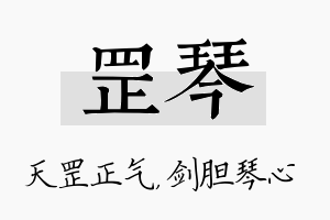 罡琴名字的寓意及含义