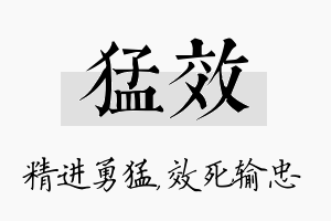 猛效名字的寓意及含义