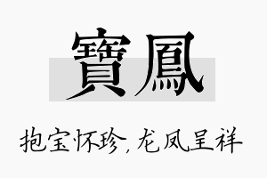 宝凤名字的寓意及含义