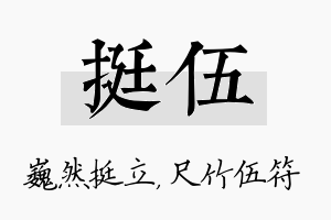 挺伍名字的寓意及含义