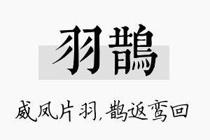 羽鹊名字的寓意及含义