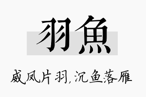 羽鱼名字的寓意及含义