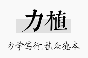 力植名字的寓意及含义