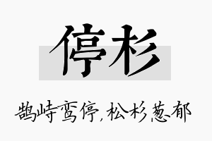 停杉名字的寓意及含义