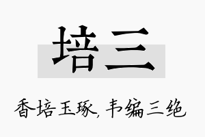 培三名字的寓意及含义