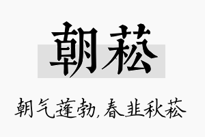 朝菘名字的寓意及含义