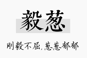 毅葱名字的寓意及含义