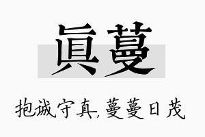 真蔓名字的寓意及含义