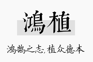 鸿植名字的寓意及含义