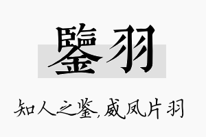 鉴羽名字的寓意及含义