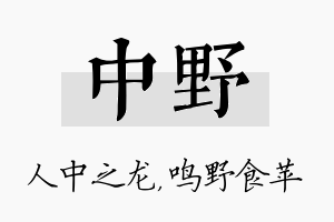 中野名字的寓意及含义