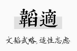 韬适名字的寓意及含义