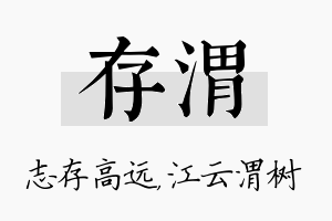 存渭名字的寓意及含义