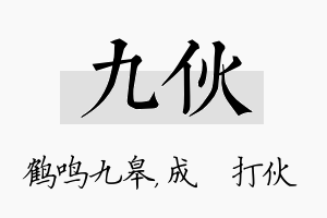 九伙名字的寓意及含义