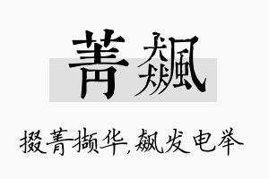 菁飙名字的寓意及含义