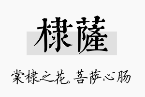 棣萨名字的寓意及含义