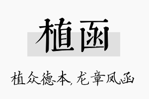 植函名字的寓意及含义