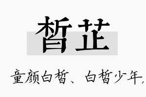 皙芷名字的寓意及含义