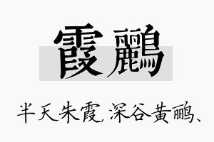 霞鹂名字的寓意及含义