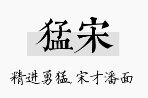 猛宋名字的寓意及含义