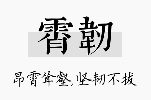 霄韧名字的寓意及含义