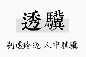 透骥名字的寓意及含义