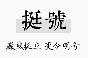 挺号名字的寓意及含义