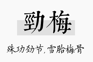 劲梅名字的寓意及含义